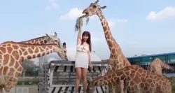 สาวหมวยเที่ยวไทยลุยซาฟารี MM-080 ดูหนังโป๊จีน เที่ยวสวนสัตว์แล้วเย็ดกันต่อกับ WU MENGMENG สาวจีนหีฟิตมาเที่ยวประเทศไทย เล่นเสียวอยู่ข้างริมสระน้ำโรงแรม?2026-10-22-12